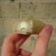 Illustration for article titled Taste Test: Bagel-fuls and Uncrustables
